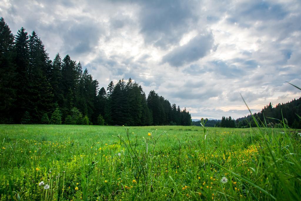 Holiday Home Cancarevic Ravna Gora Zimmer foto